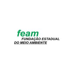 Clientes - FEAM MG